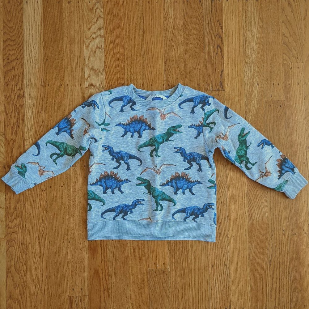 H&M Dino Sweatshirt